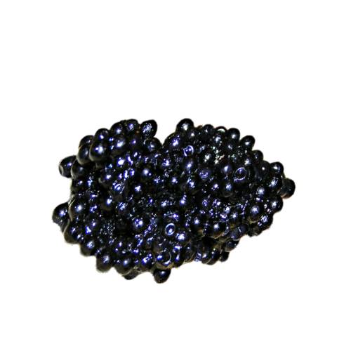 Black Roe Caviar comes from sturgeon and also beluga and paddlefish and some osetra fish.