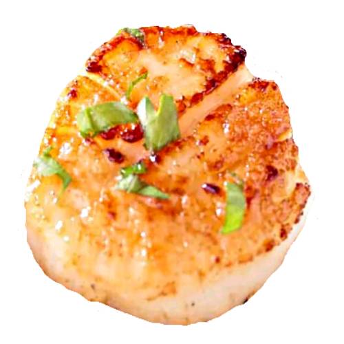 Scallop Smoked - Smoked Scallop is a clean scallop lightly hot or vold smoked.