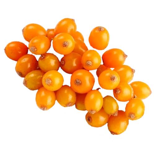 Sea Buckthorn - Sea Buckthorn Berries or Hippophae or sandthorn also sallowthorn or seaberry is a orange yellow berries which have been used over centuries as food traditional medicine and found in nordic countrys.