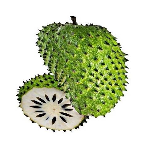 Soursop Pulp - Soursop pulp or soursop puree also called custard apple pulp.