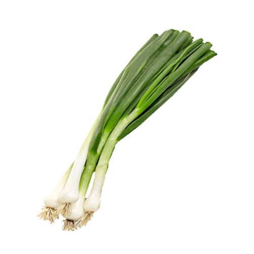 Spring Onion - Spring Onion also called Scallion or green onions or sibies are vegetables derived from various species in the genus Allium.