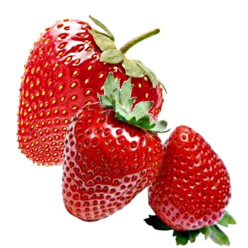 Strawberry - The strawberry is a widely grown hybrid species of the genus Fragaria collectively known as the strawberries. It is cultivated worldwide for its fruit.