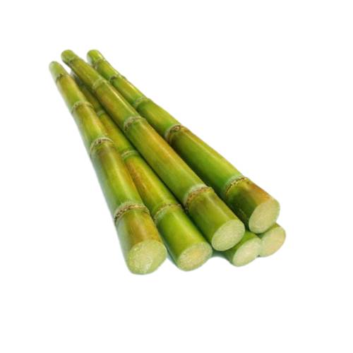 Sugarcane - Sugarcane juice is the syrup extracted from pressed sugarcane. Juice is misleading as this is not a fruit or vegetable juice.
