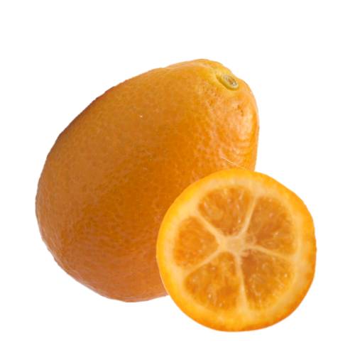 Sunrise Lime is a cross between a finger lime and calamondin and produces an elegant pear shaped golden fruit that is juicy and sharp in flavour.