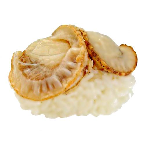 Sushi Nigiri Mirugai - Mirugai Nigiri Sushi is made with hand pressed short grain rice or sushi rice and topped with a slice of clam.