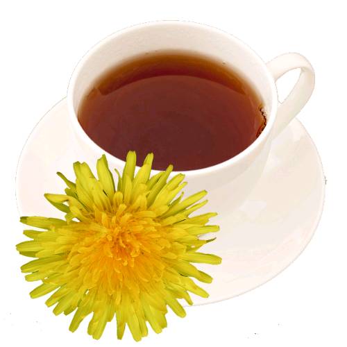 Tea Dandelion - Dandelion tea is made from steeping dandelions in water the warmed into a deep rich tea.