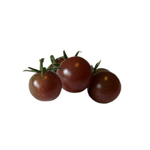 Round Brown cherry tomato small in size and with a brown in color.