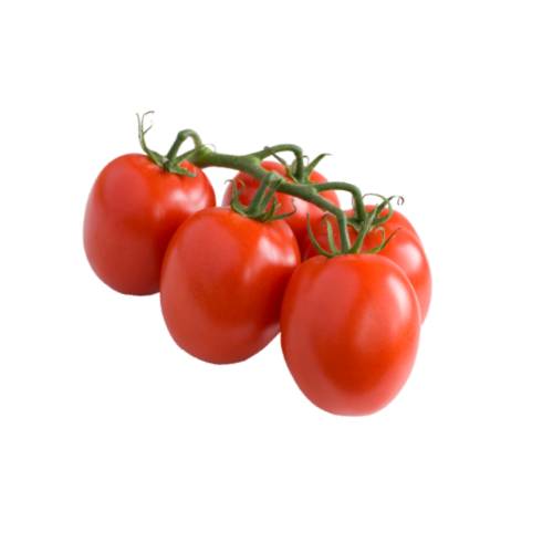 Tomato - The tomato is the edible often red fruit berry of the plant Solanum lycopersicum commonly known as a tomato plant.