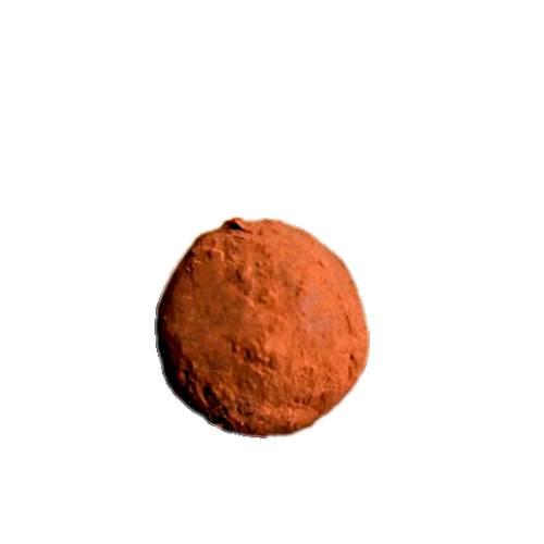 Cinnamon chocolate truffle.