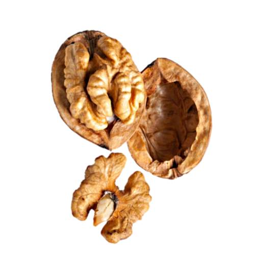 Walnut is the nut of any tree of the genus Juglans particularly the Persian or English walnut Juglans regia. Technically a walnut is the seed of a drupe or drupaceous nut and thus not a true botanical nut.