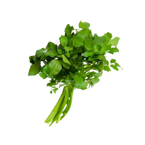 Watercress - Watercress or yellowcress is an aquatic plant species with the botanical name Nasturtium officinale.