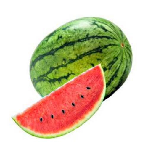 Watermelon - Citrullus lanatus is a plant species in the family Cucurbitaceae a vine like flowering plant from sub Saharan Africa.