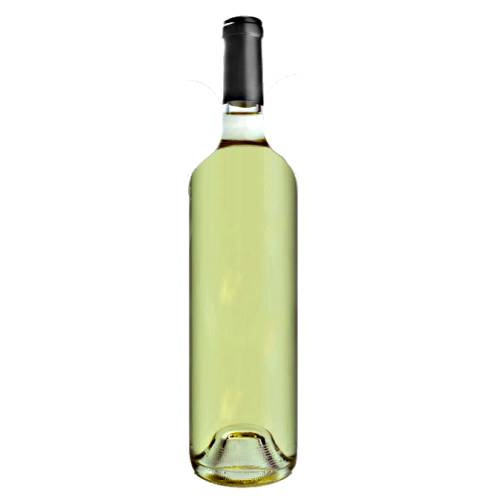 Catarratto bianco comune is made from a grape from southern Italy it gives an aromatic and high alcohol wine and is one of the varieties of grape used to produce Marsala and Madeira.