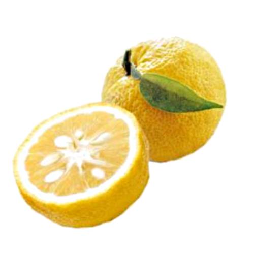 Yuzu - Citrus junos or yuzu is a citrus fruit and plant in the family Rutaceae.